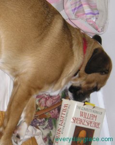 Nose For A Good Book